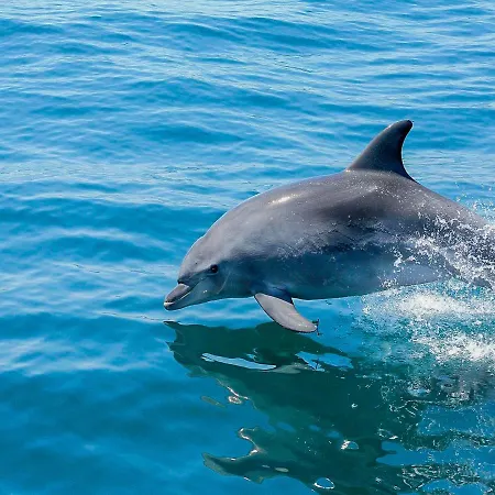 Villa V4, Jardins Branqueira4 Near Beach, *