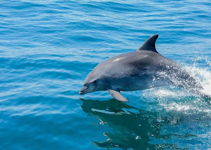 Villa V4, Jardins Branqueira4 Near Beach, *