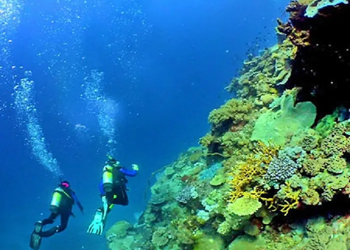 V4, Jardins Branqueira4 Near Beach, *